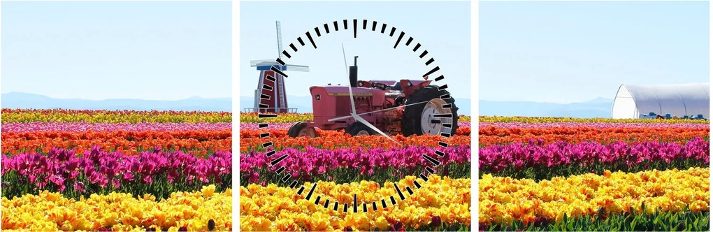 Obraz farmy tulipanów (z zegarem) (90x30 cm)