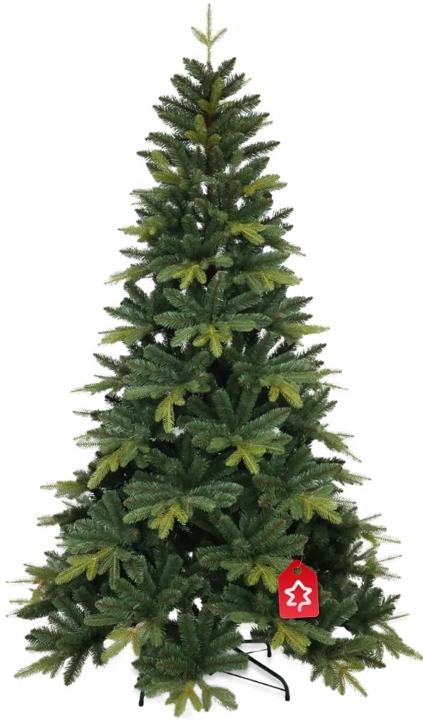 Jodła Kangri 210 cm