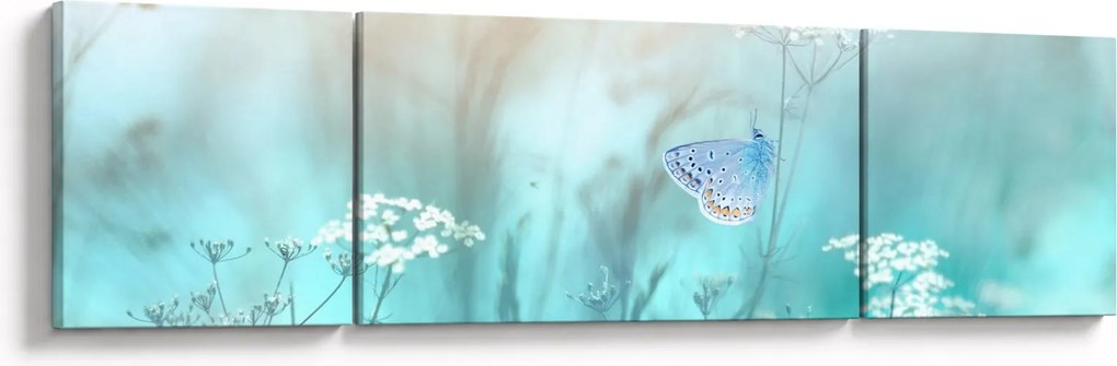 Obraz - Motyl w niebieskim (170x50 cm)