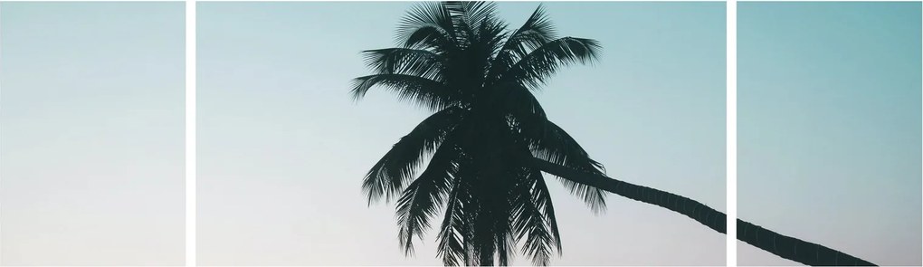 Obraz - Palma na Bali (170x50 cm)