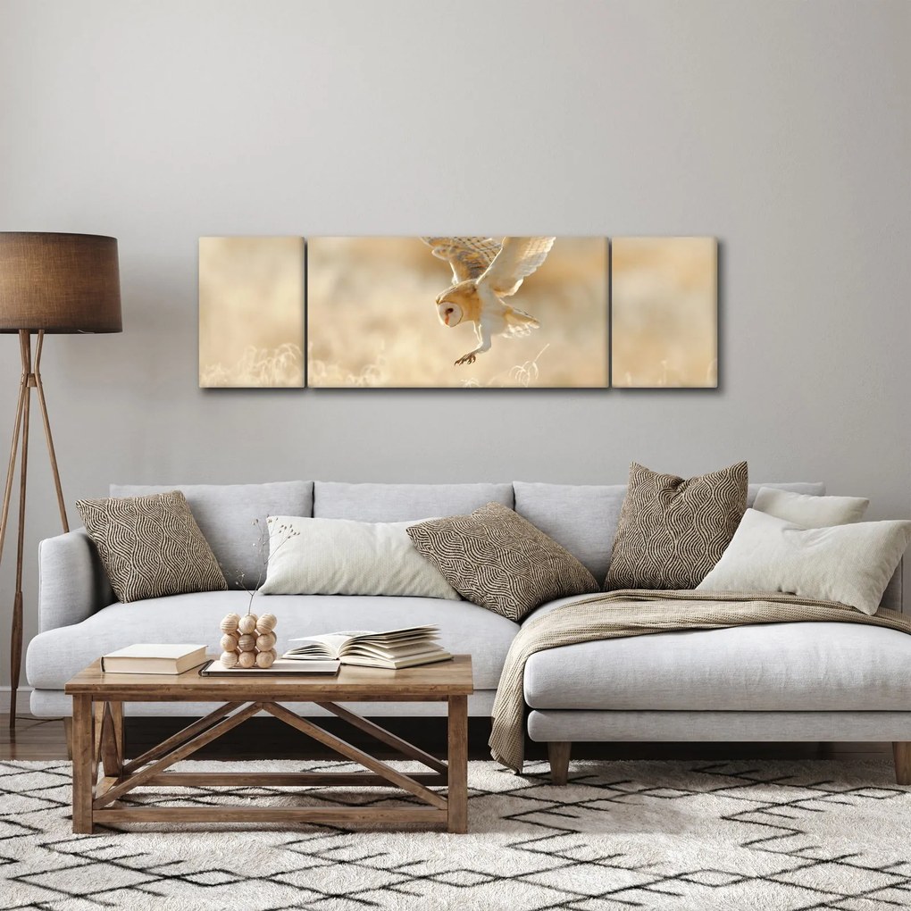 Obraz - Sowa (170x50 cm)