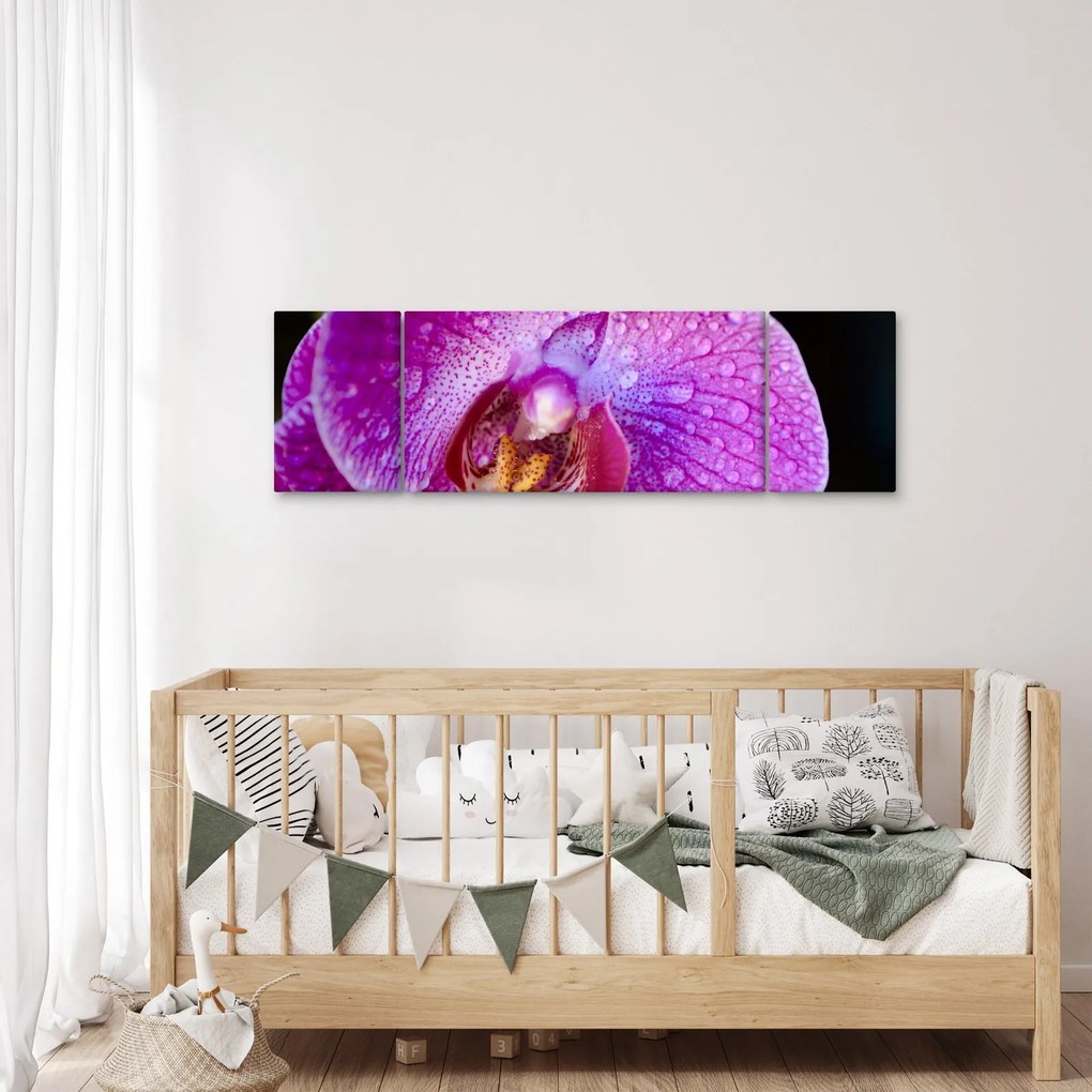 Zbliżenie kwiatu orchidei (170x50 cm)
