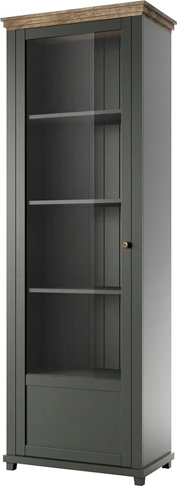 Witryna EVORA 1D zielona mat/dąb lefkas lewa