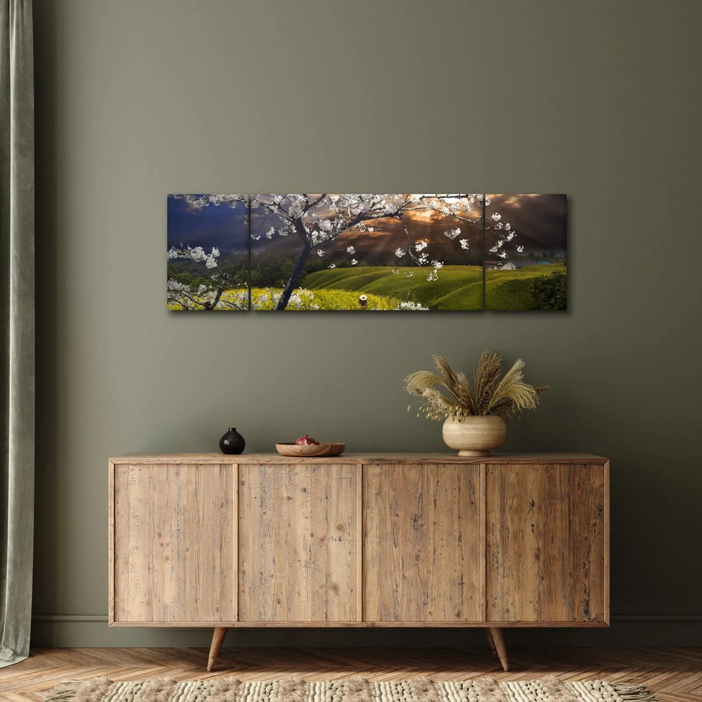 Obraz - Kwitnące drzewo w krajobrazie (170x50 cm)