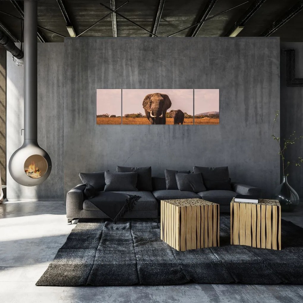 Obraz - Przybycie słonia (170x50 cm)
