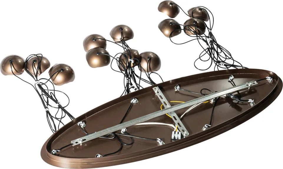 Designerska lampa wisząca w kolorze ciemnego brązu z przezroczystym szkłem, 12 świateł - Inge