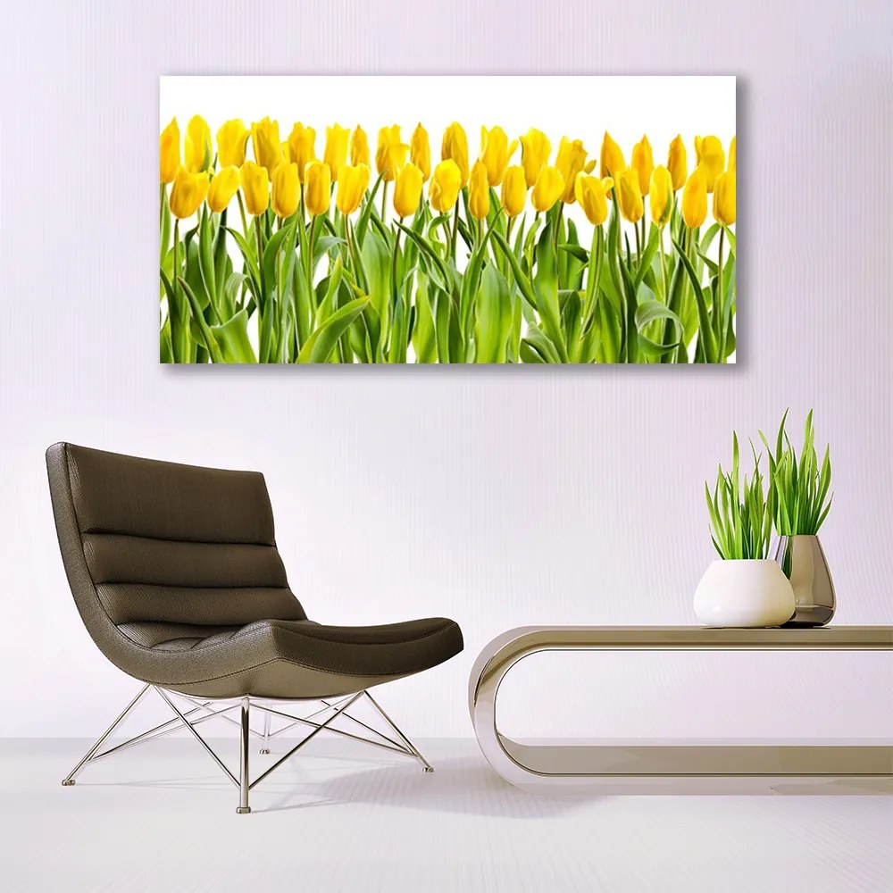 Obraz Canvas Tulipany Kwiaty Natura