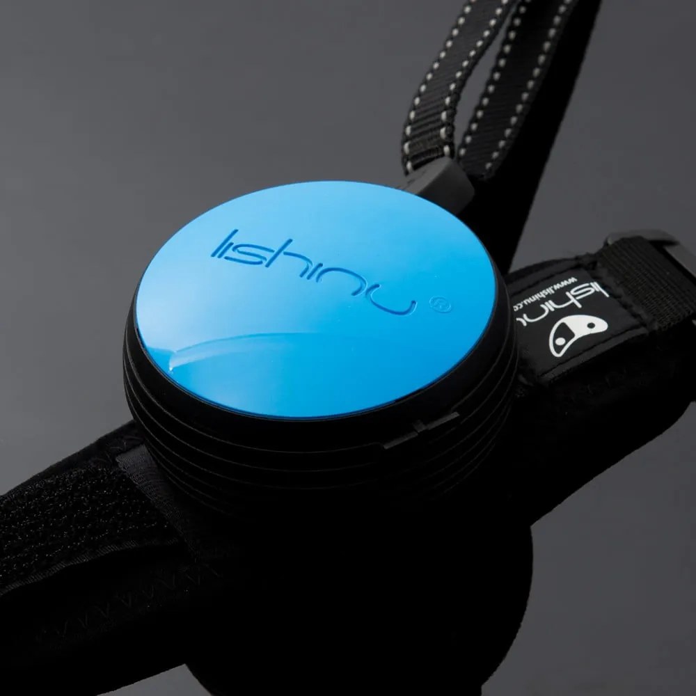 Niebieska smycz w rozmiarze M 3 Bungee – Lishinu