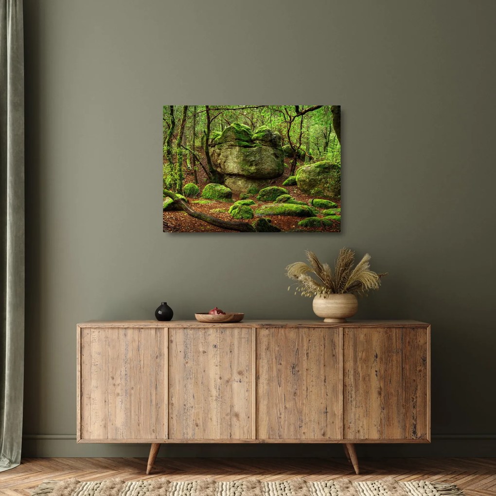 Obraz na szkle - magiczny las (70x50 cm)