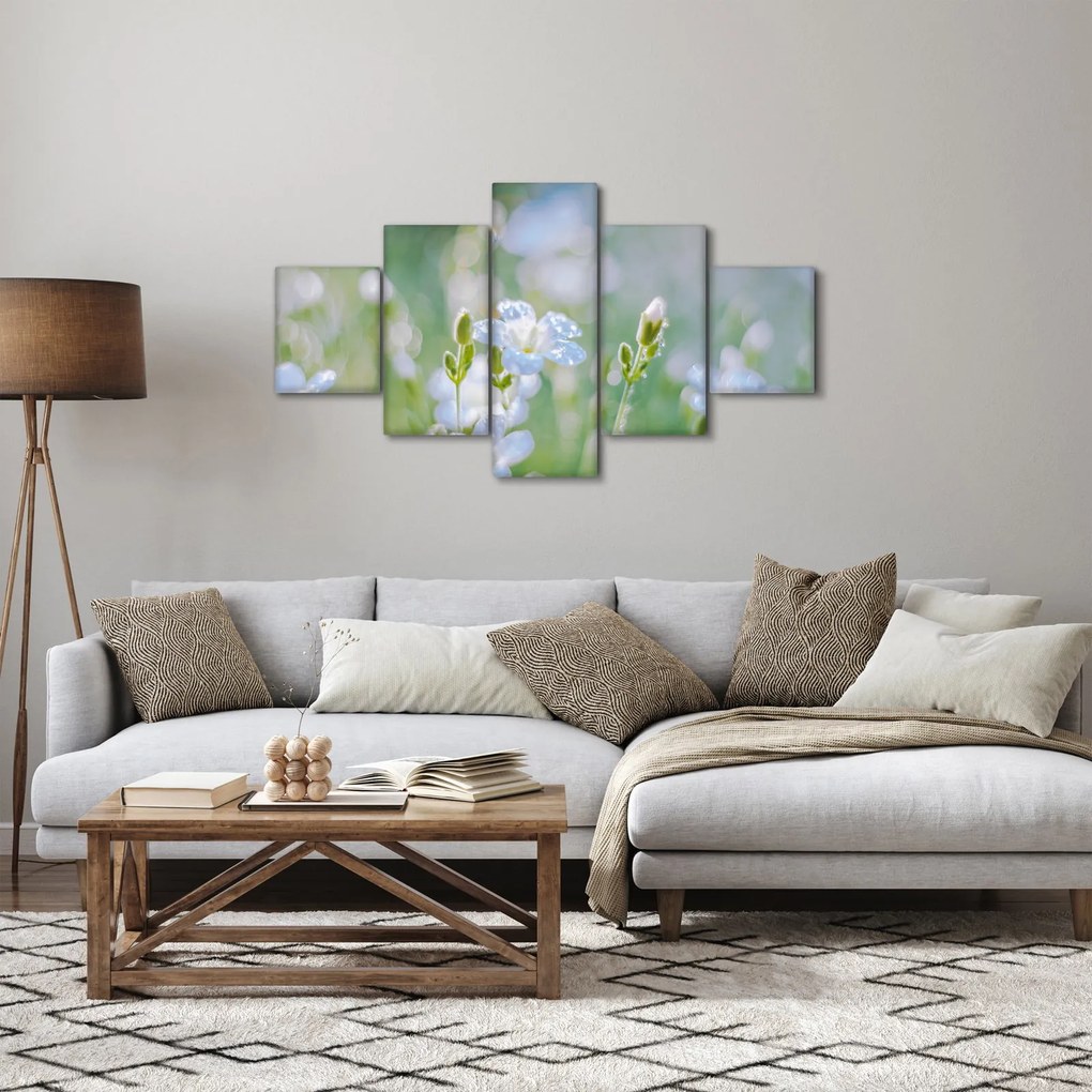 Obraz - Delikatne kwiaty (125x70 cm)