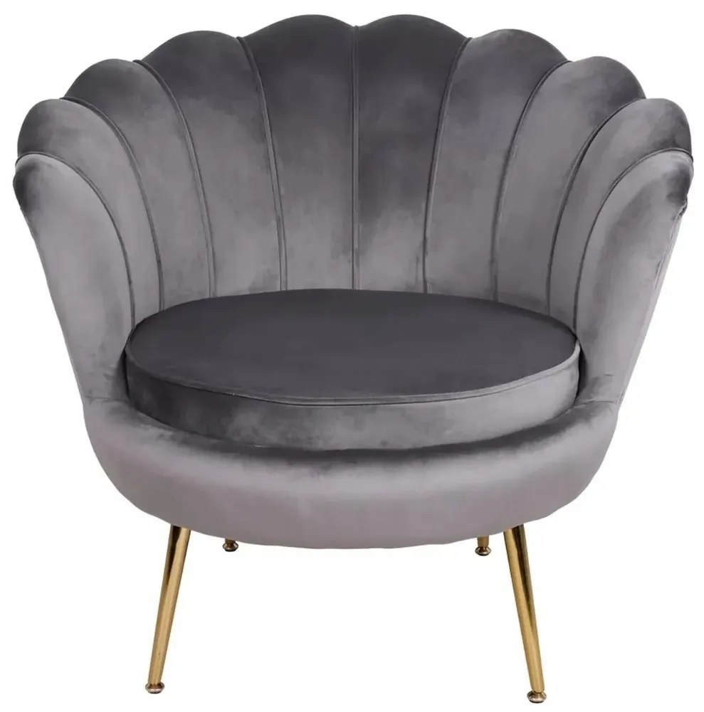 FOTEL CAMELLIA 1 VELVET SZARY BLUVEL 14/ZŁOTY SIGNAL