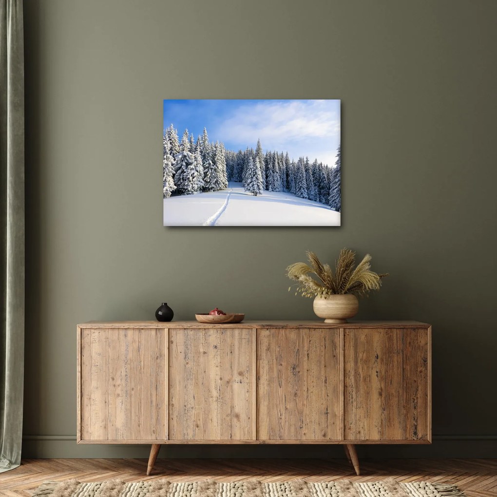 Obraz - Zima w lasach (70x50 cm)