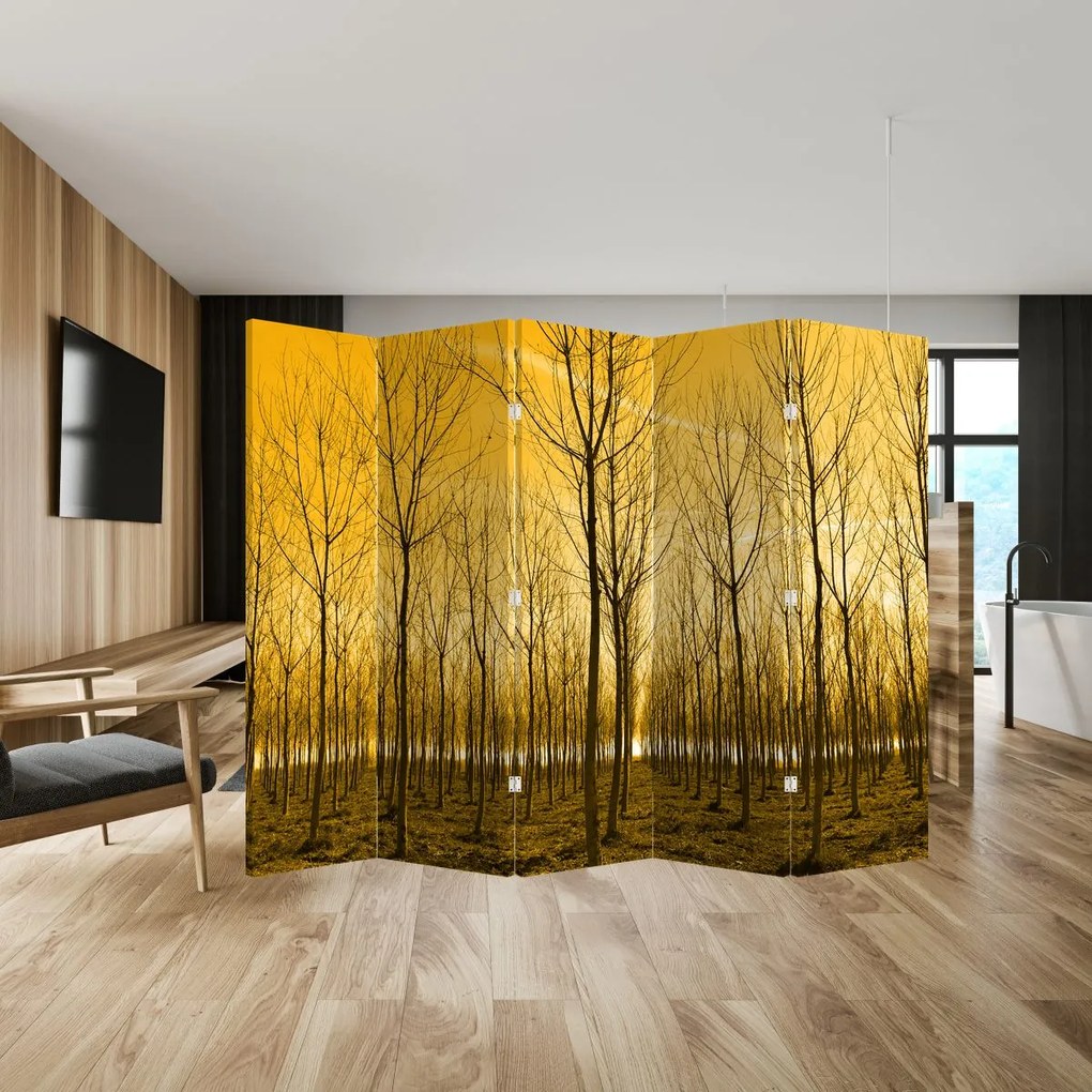 Parawan - Las o zachodzie Słońca (210x170 cm)