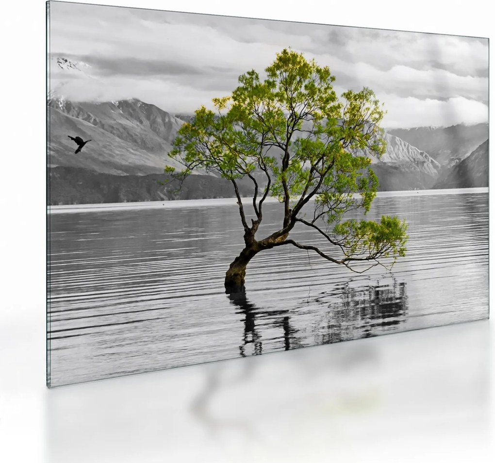 Obraz na szkle drzewa na środku jeziora (70x50 cm)