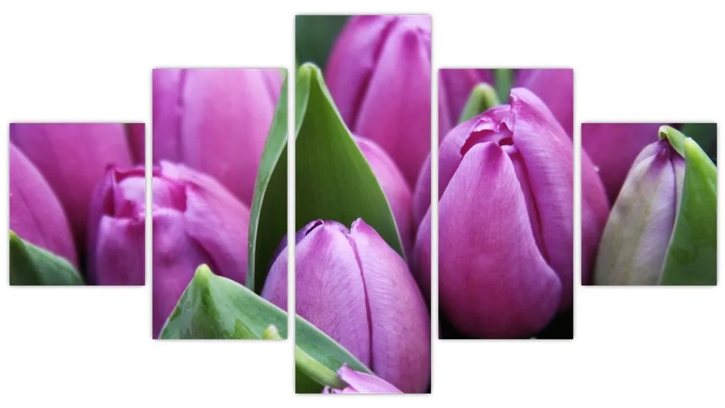 Obraz - kwiaty tulipanów (125x70 cm)