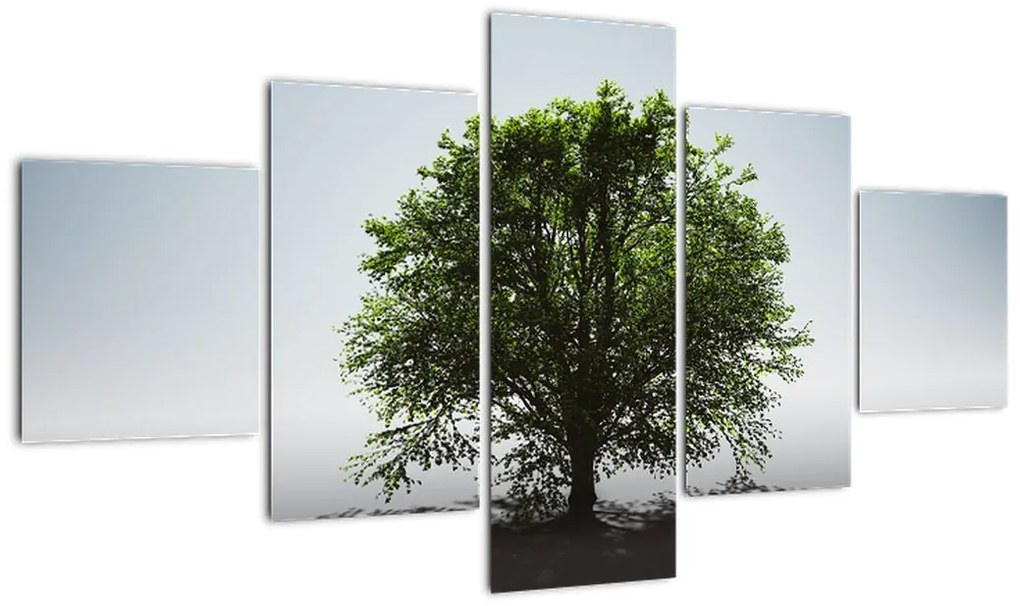 Obraz - Samotne drzewo (125x70 cm)