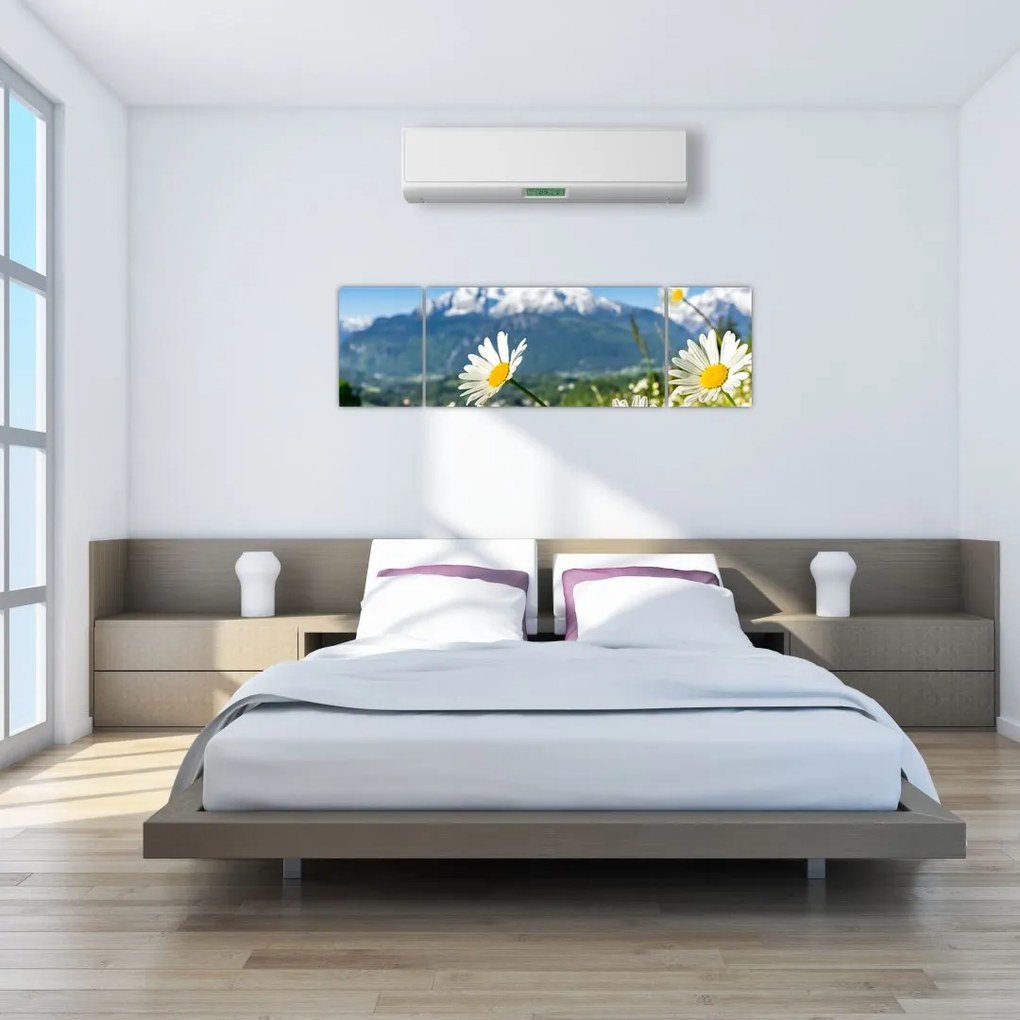 Obraz - Wiosna w Alpach (170x50 cm)