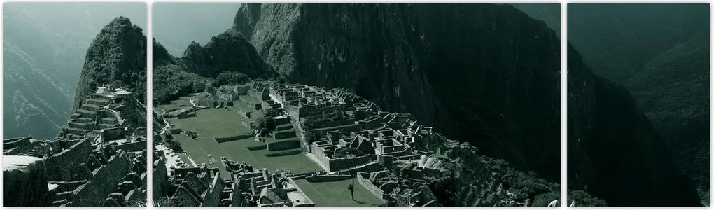 Obraz - Lamy w Machu Picchu w Peru (170x50 cm)