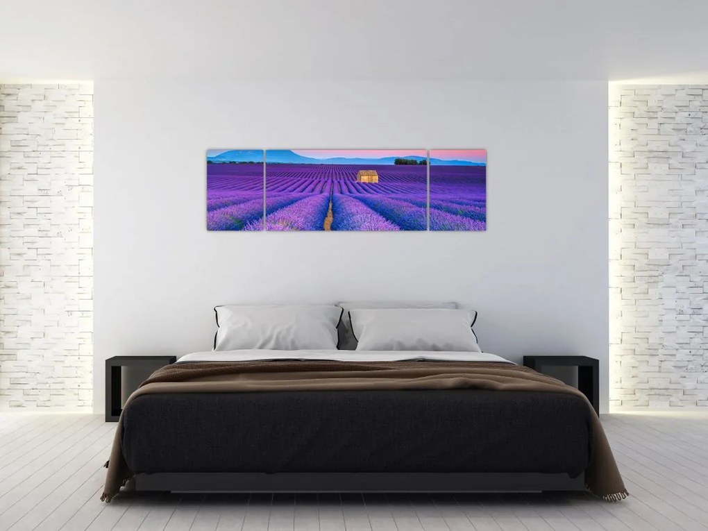 Obraz - Lewndowe pole (170x50 cm)