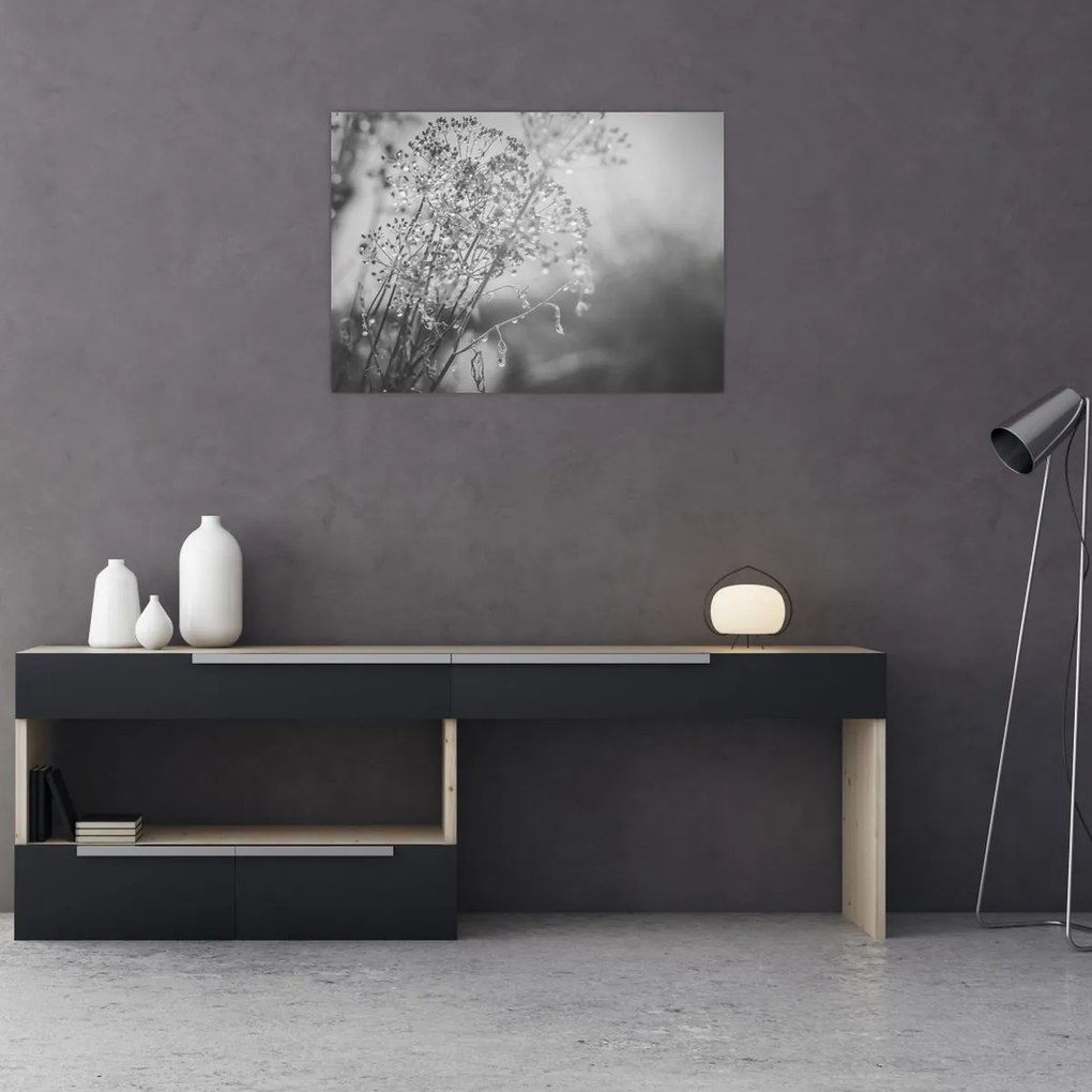 Obraz - Łąka po deszczu (70x50 cm)