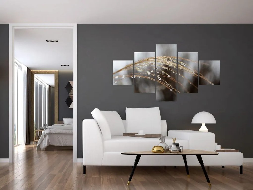 Obraz kropli na roślinie (125x70 cm)