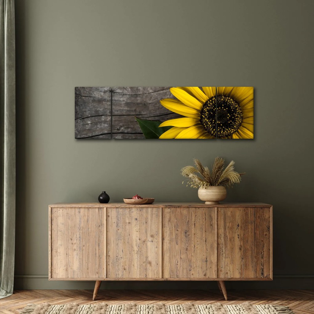 Obraz - Kwiat słonecznika (170x50 cm)
