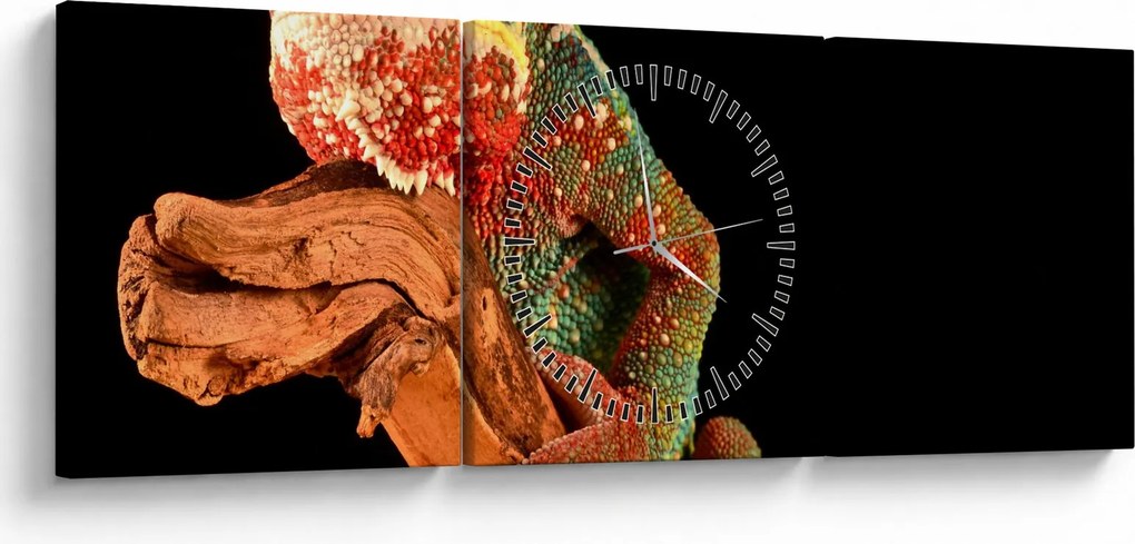 Obraz kameleona na gałęzi (z zegarem) (90x30 cm)