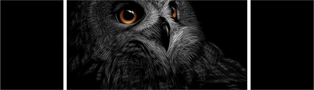 Obraz - Sowa, ilustracja (170x50 cm)