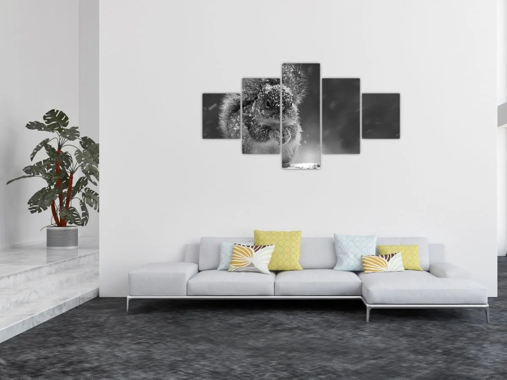 Obraz - Wiewiórka zimą (125x70 cm)