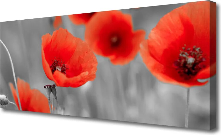 Obraz canvas Czerwone Maki w Polu