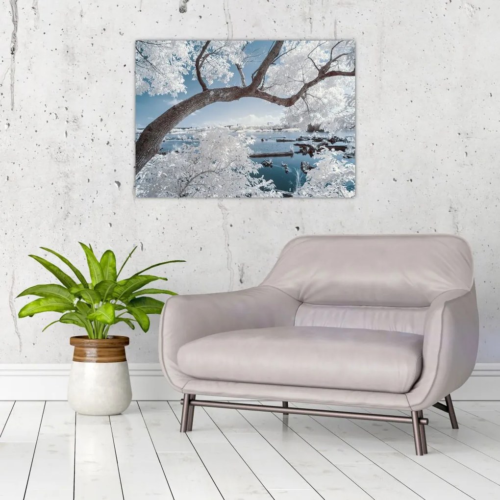 Obraz ośnieżonego drzewa nad wodą (70x50 cm)