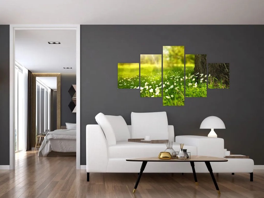 Obraz polany i kwiatów (125x70 cm)
