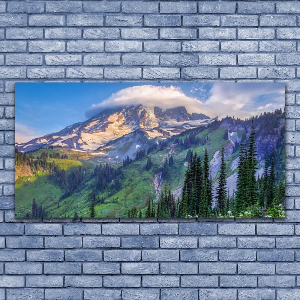 Obraz canvas na ścianę Panorama Górskiego Boru