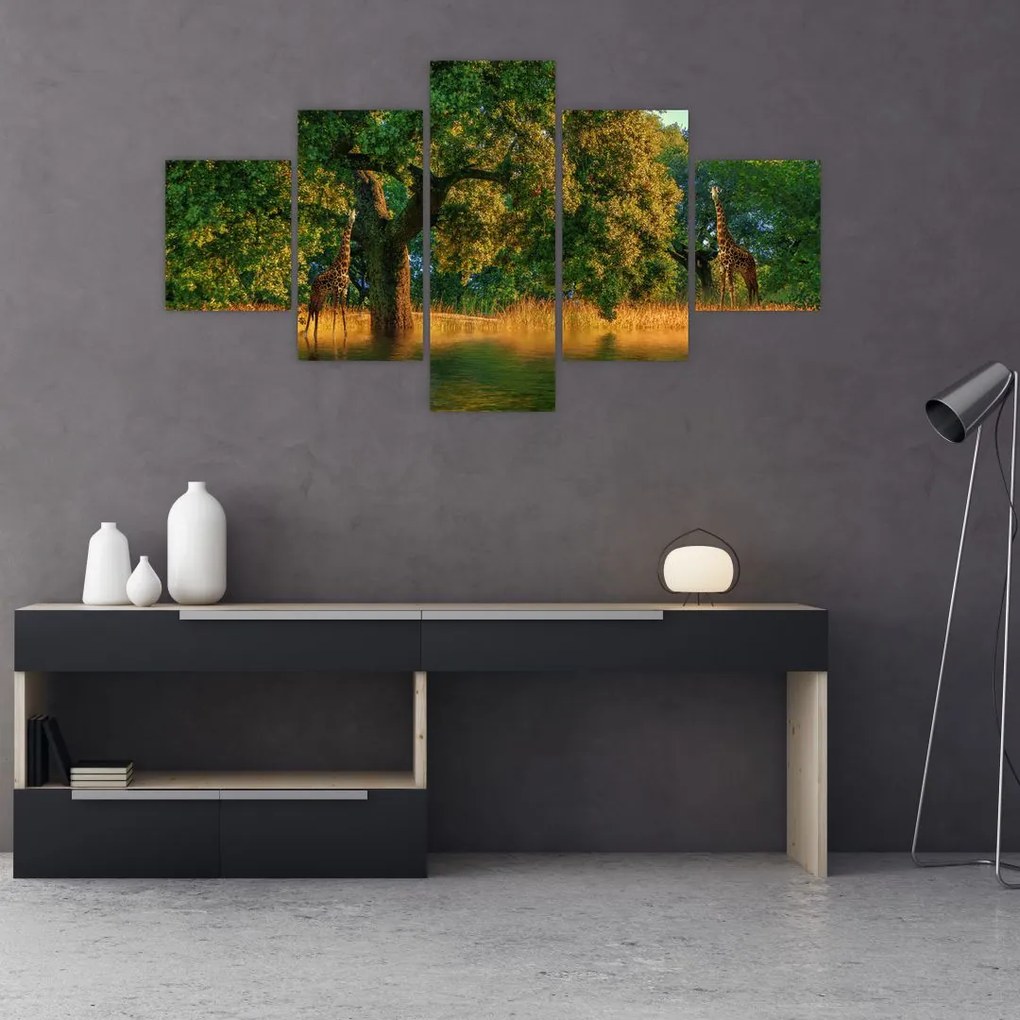 Obraz żyraf w naturze (125x70 cm)