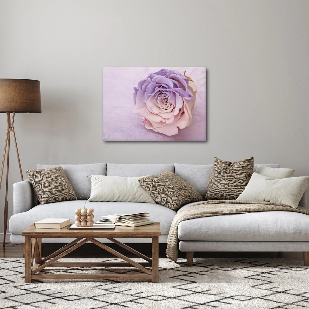 Obraz szczegółu kwiatu róży (70x50 cm)