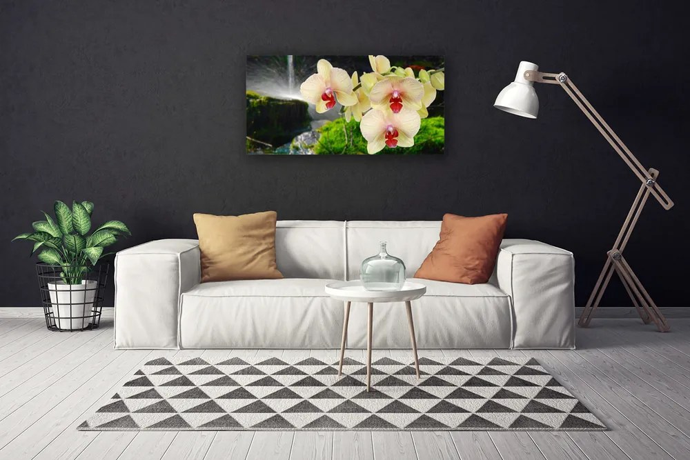 Obraz na płótnie Słońce Przebijające przez Korony