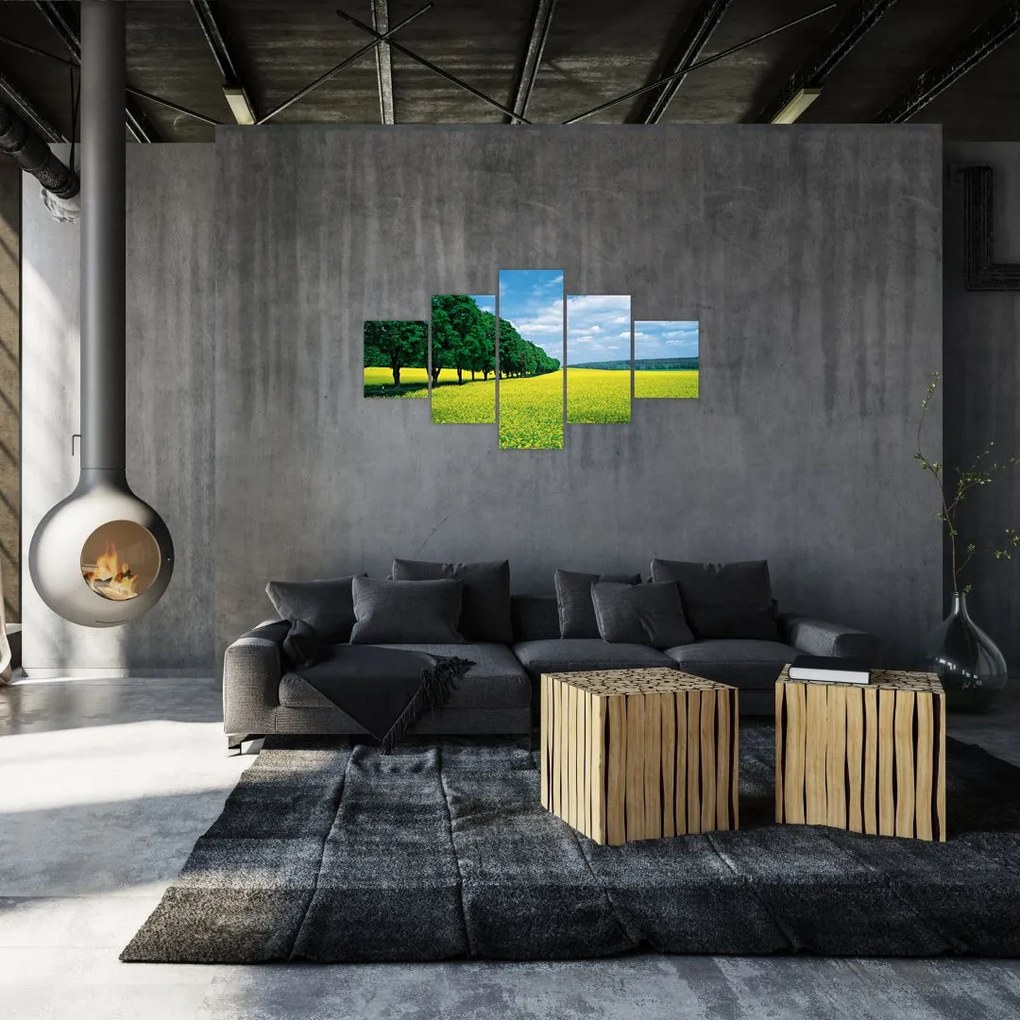 Obraz pola z aleją (125x70 cm)