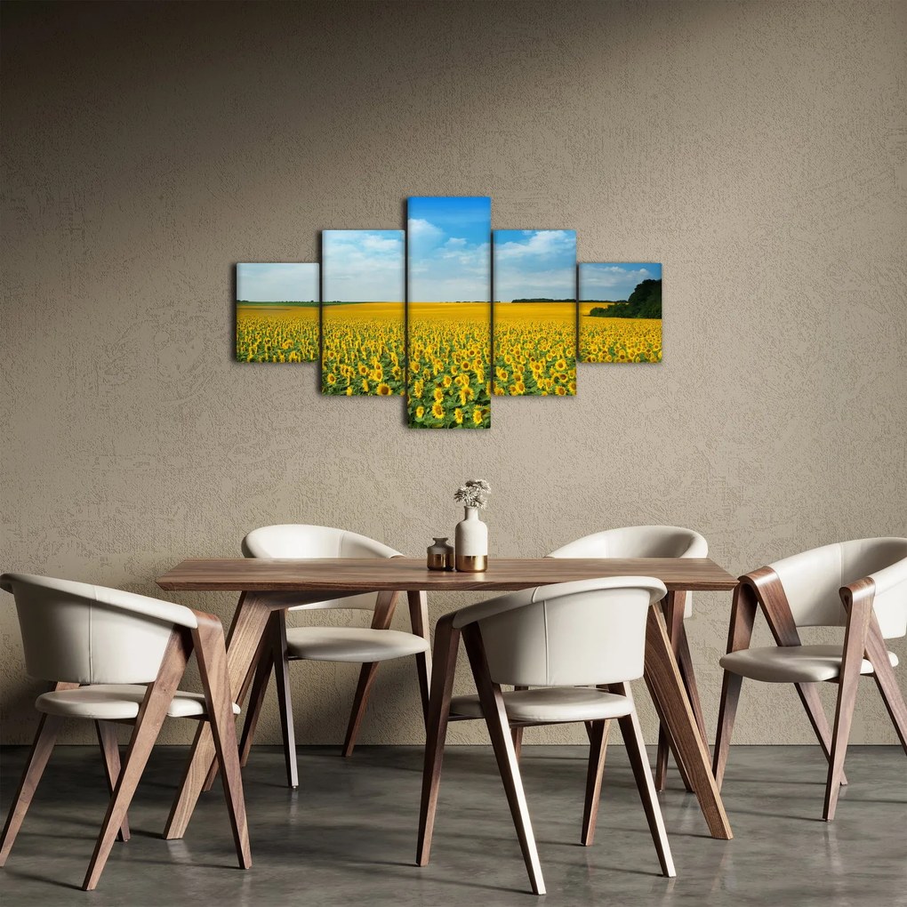 Obraz - ciąg słoneczników (125x70 cm)
