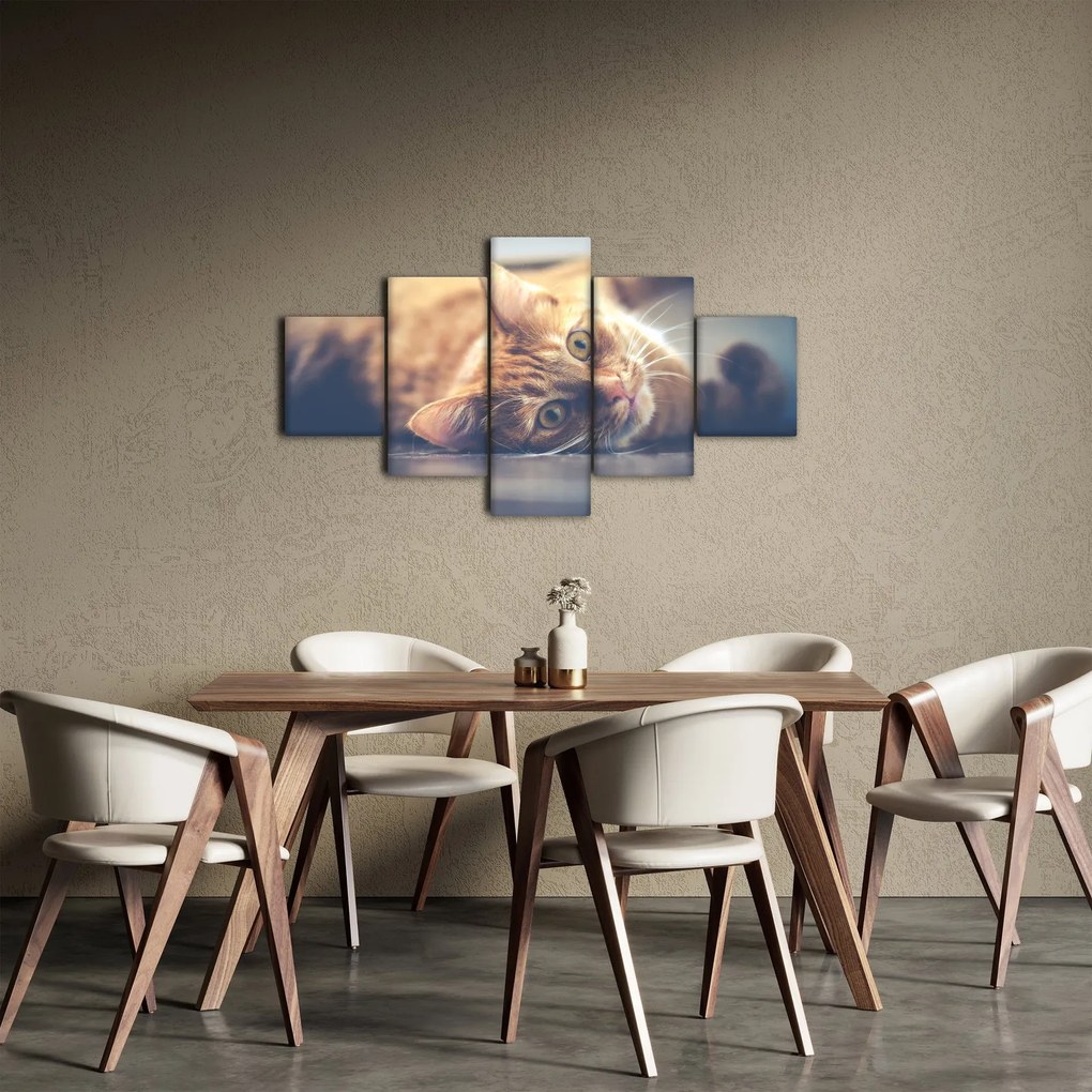 Obraz kota na podłodze (125x70 cm)