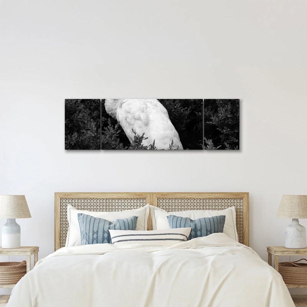 Obraz - Paw, czarno - biały (170x50 cm)