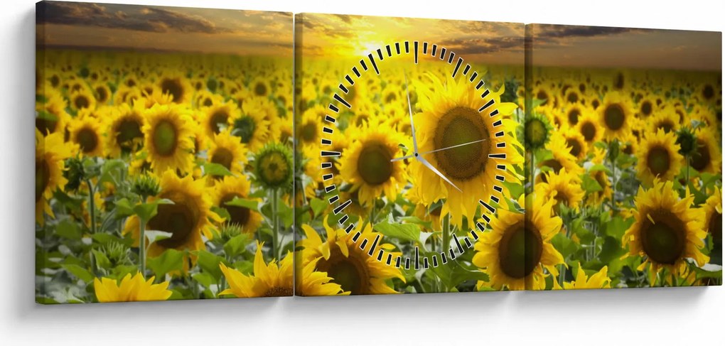 Obraz - Słoneczniki o zachodzie słońca (z zegarem) (90x30 cm)