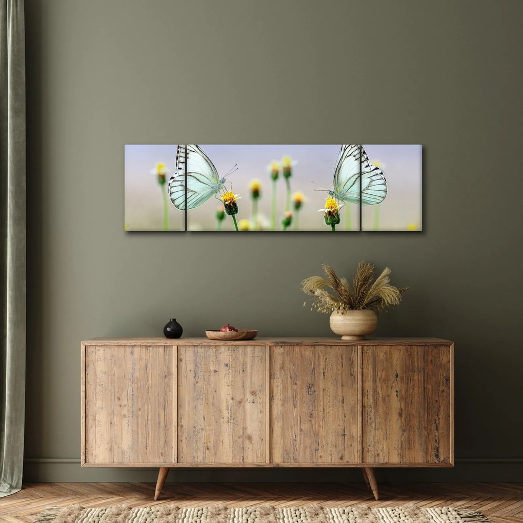 Obraz motyli na kwiatku (170x50 cm)