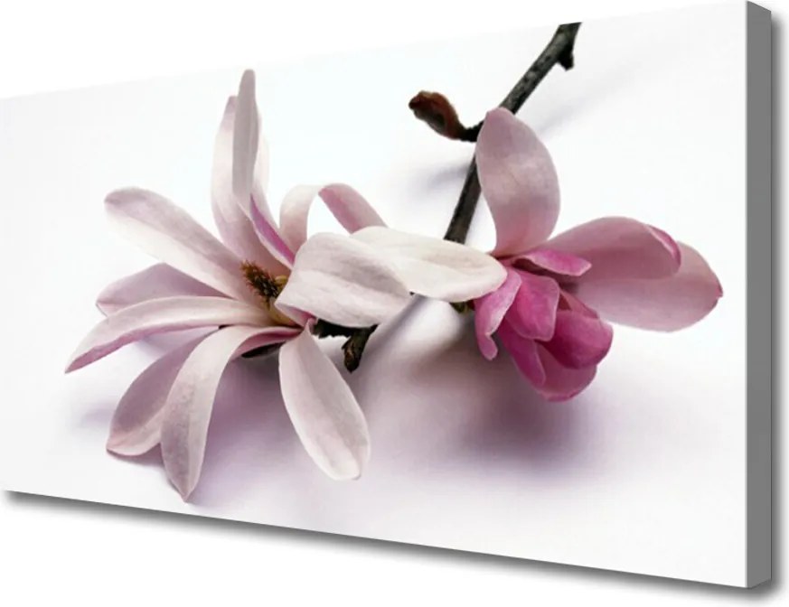 Zdjęcie na płótnie Delikatność Natury: Kwiat