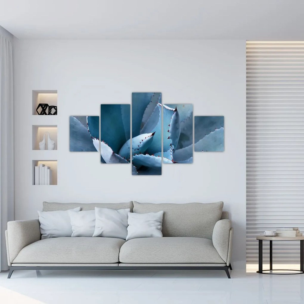Obraz - Agawa (125x70 cm)