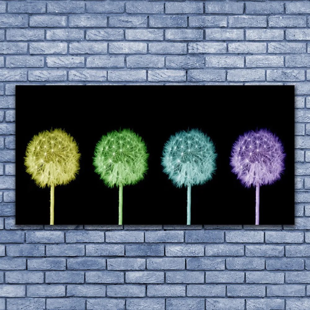 Obraz na płótnie Puszysta Kula Mniszka