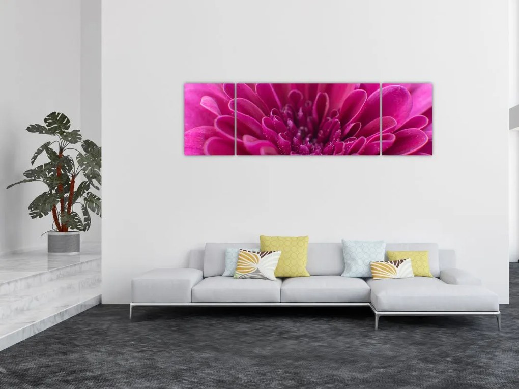 Obraz kwiatu (170x50 cm)