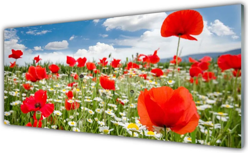 Panel Szklany Kwiatowa Polana Marzeń