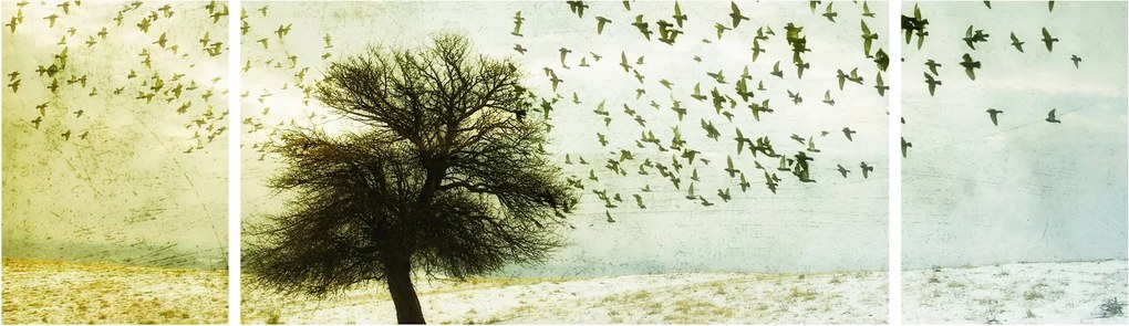 Obraz - Malowane stado ptaków (170x50 cm)