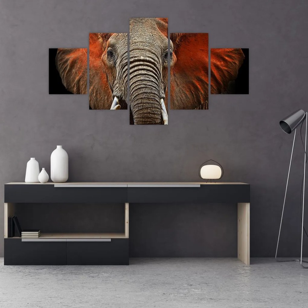 Obraz - Słonie z Tsavo (125x70 cm)