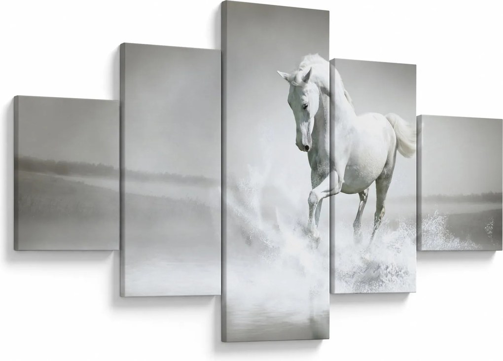 Obraz - Biały koń (125x70 cm)